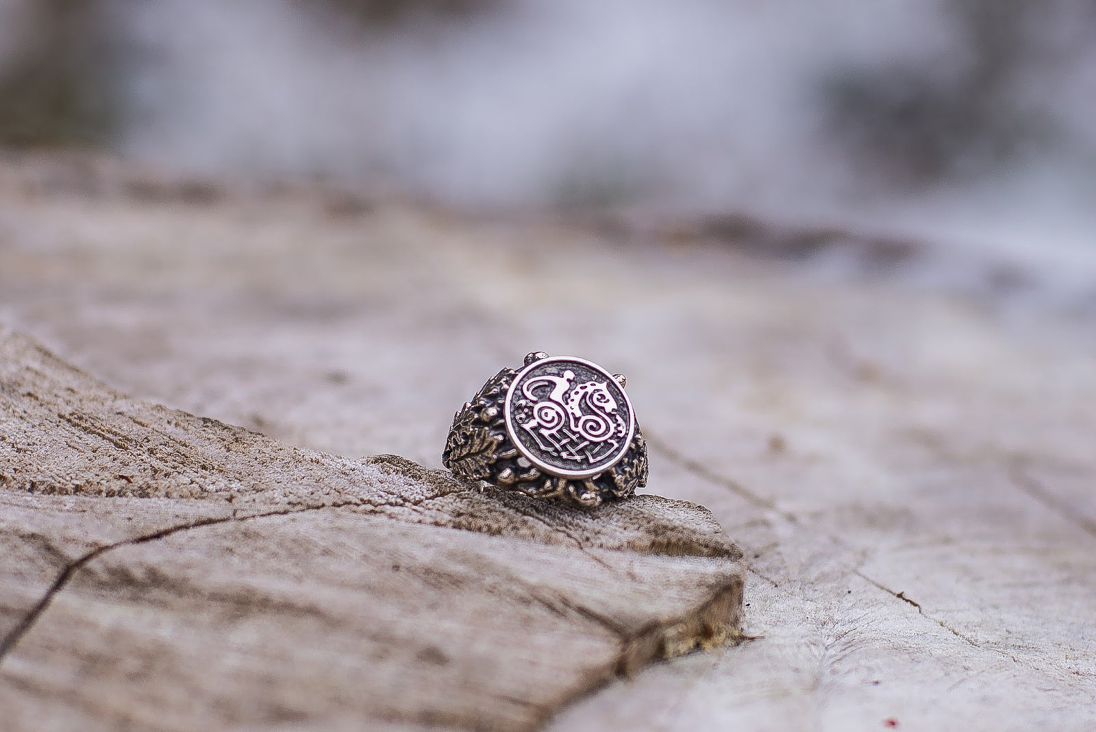 Bague Viking Erik — Argent 925