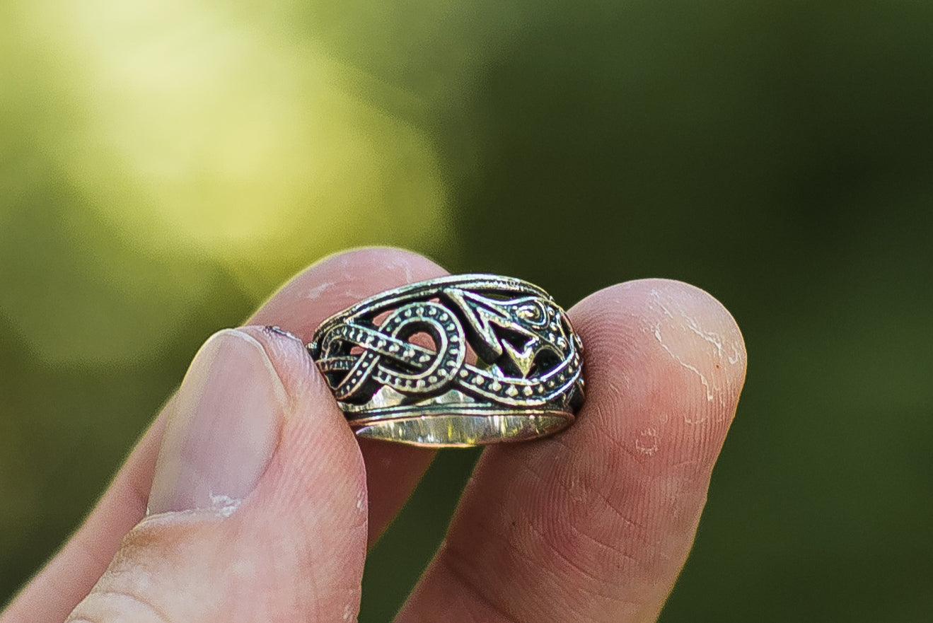 Bague Symboles Vikings Ragnar — Argent 925