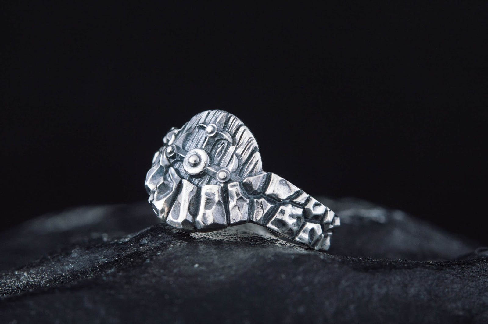 Bague Bouclier et Arbre — Argent 925