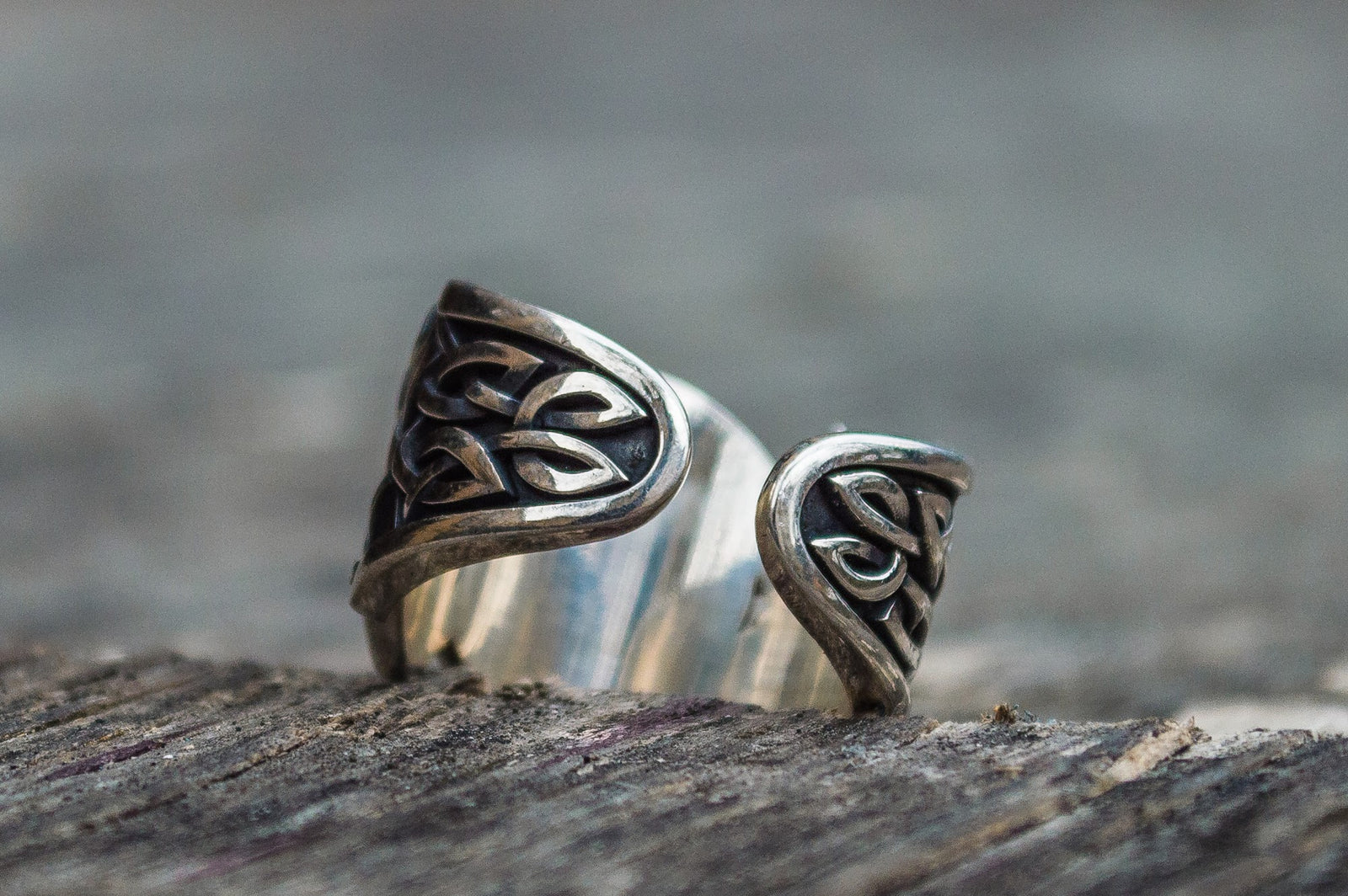 Bague Chevalière Viking Ivar — Argent 925