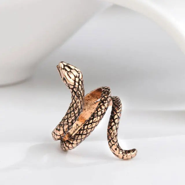 BAGUE SERPENT EN BRONZE - Viking Héritage