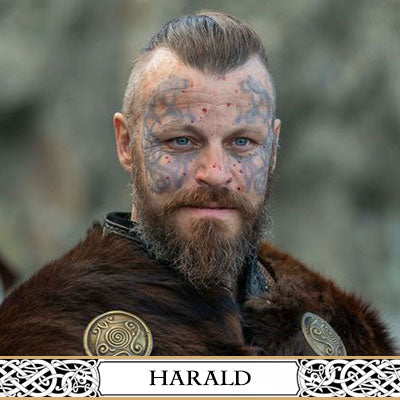 Harald Ier | L’histoire du premier Viking roi de la Norvège