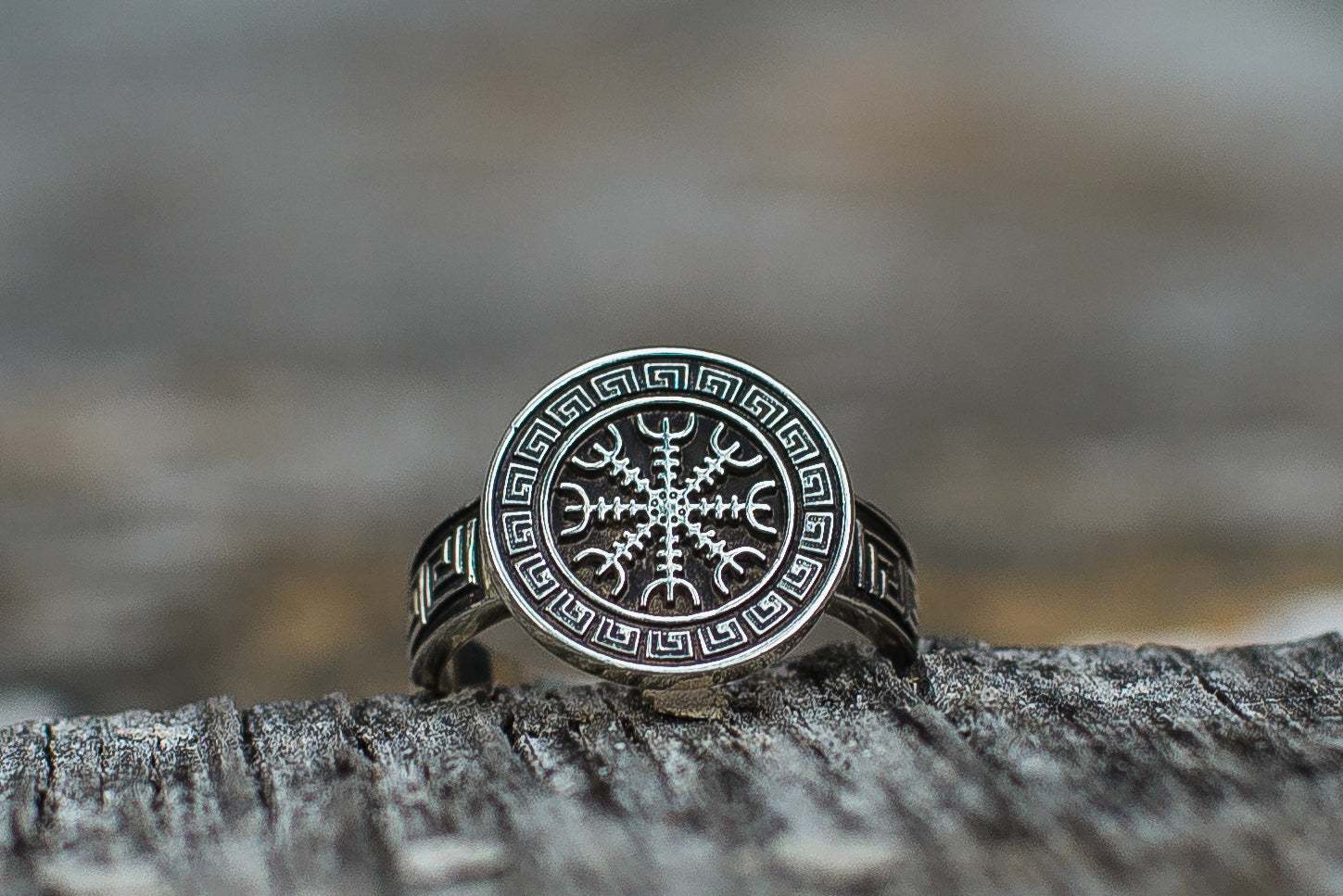 Bague Chevalière Viking Ragnar — Argent 925